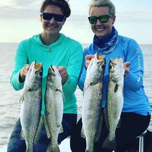 Meet your Posher, Jayne